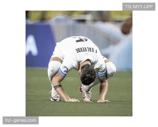 巴尔韦德美洲杯表现抢眼，未来潜力备受瞩目